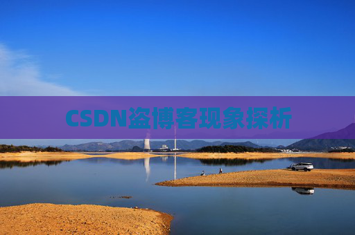 CSDN盗博客现象探析